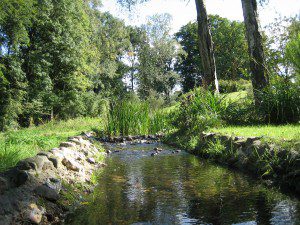 stromend water stromend water: panta rhei betekent alles stroomt